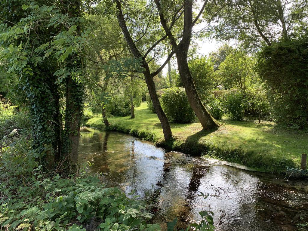 One of the many branches of the River Ebble as it passes through Bishopstone.